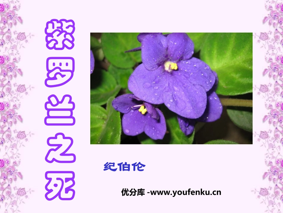 《紫罗兰之死》PPT课件[鲁教版六年级语文下册]_第1页