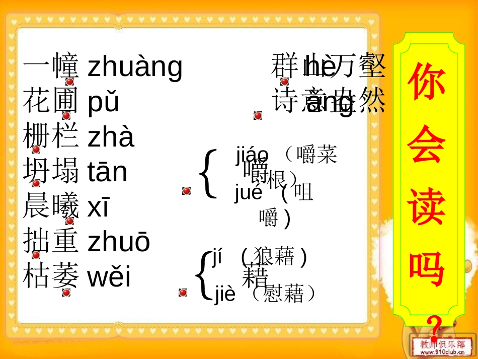 《失根的兰花》PPT课件[鲁教版六年级语文下册]_第1页
