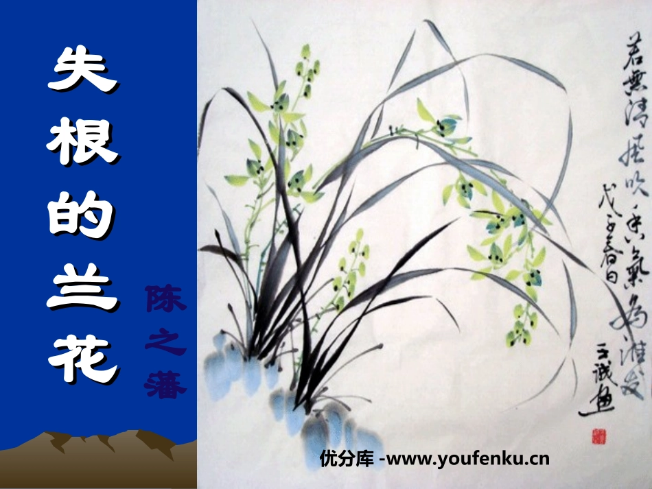 《失根的兰花》PPT课件[鲁教版六年级语文下册]_第1页