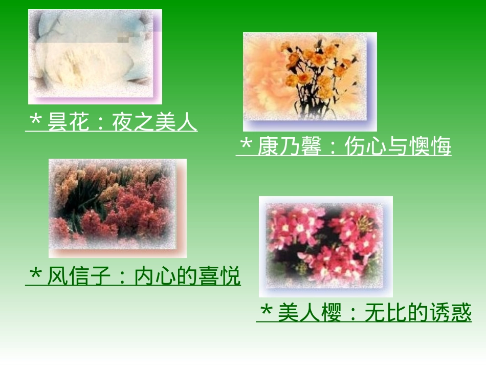 《失根的兰花》PPT课件[鲁教版六年级语文下册]_第3页