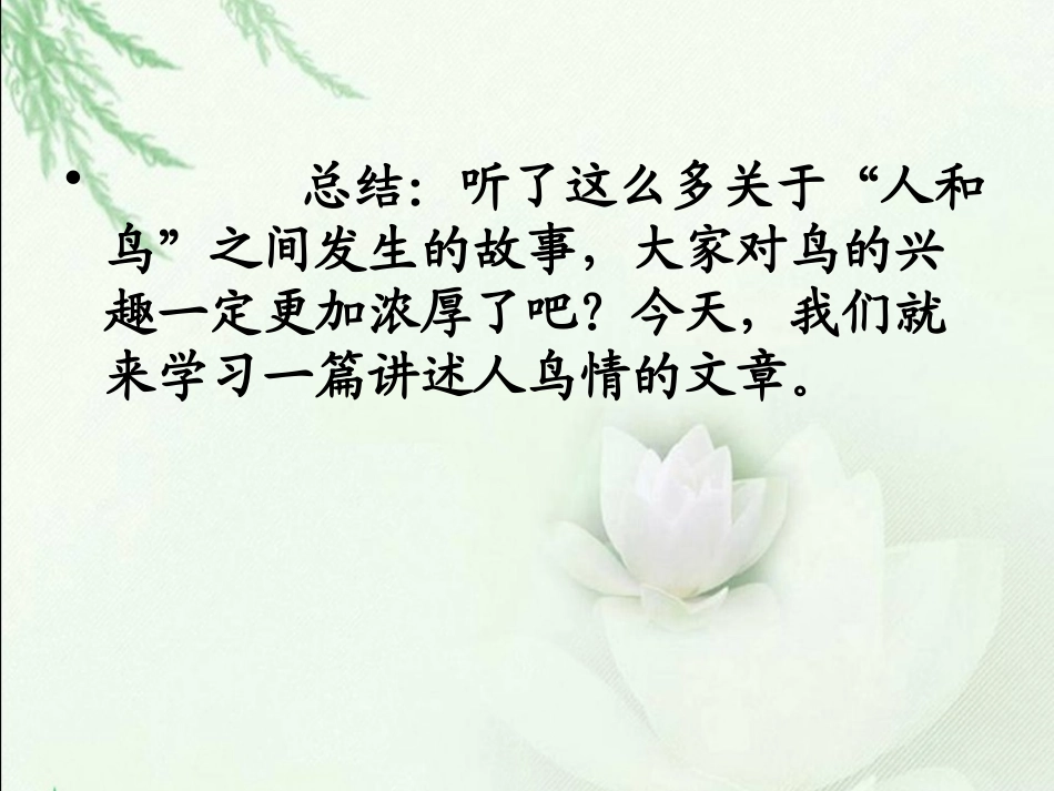 《珍珠鸟》PPT课件[鲁教版六年级语文下册]_第3页
