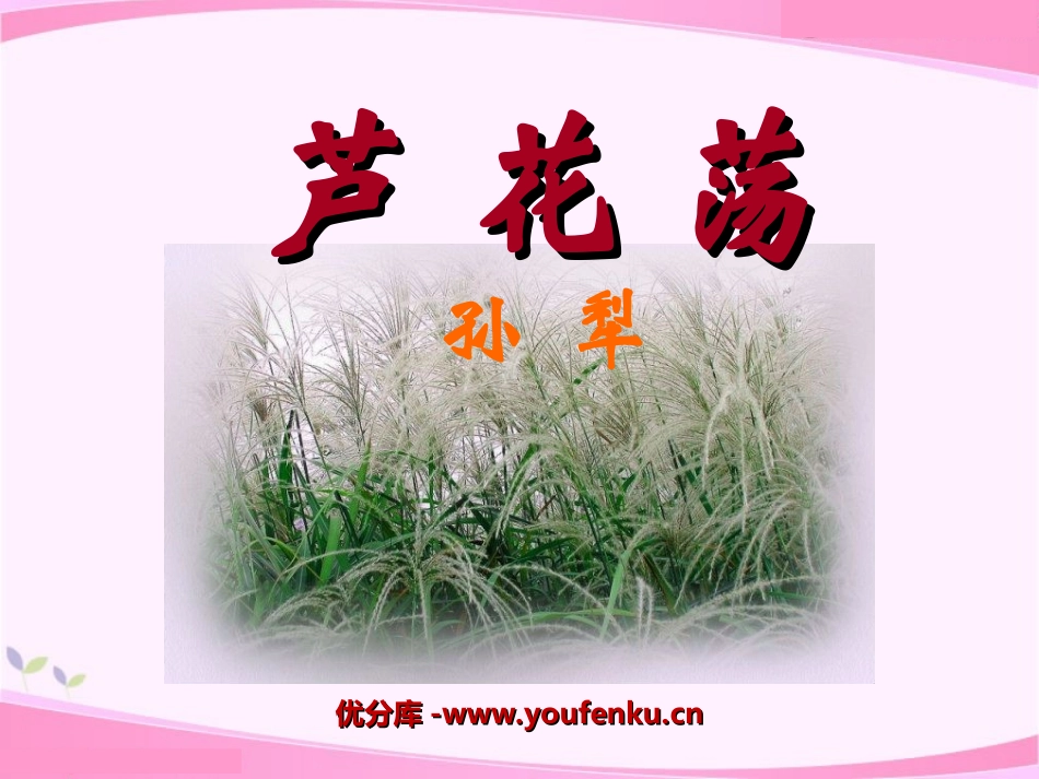 《芦花荡》PPT课件[鲁教版七年级语文下册]_第1页