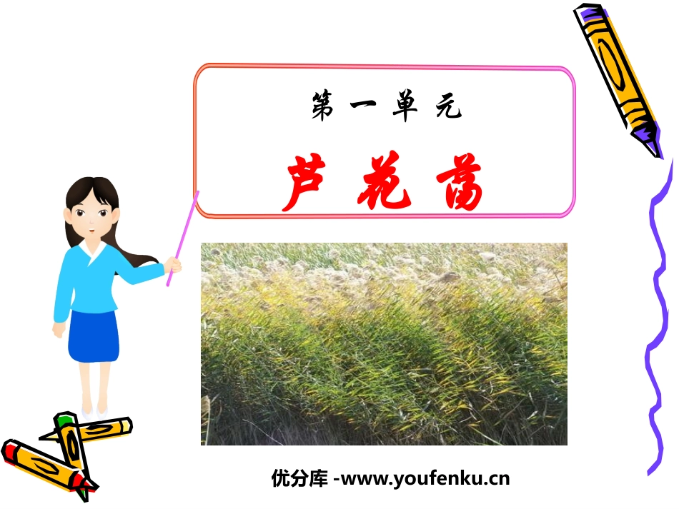《芦花荡》PPT课件[鲁教版七年级语文下册]_第1页