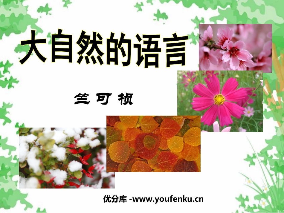 《大自然的语言》PPT课件[鲁教版七年级语文下册]_第1页