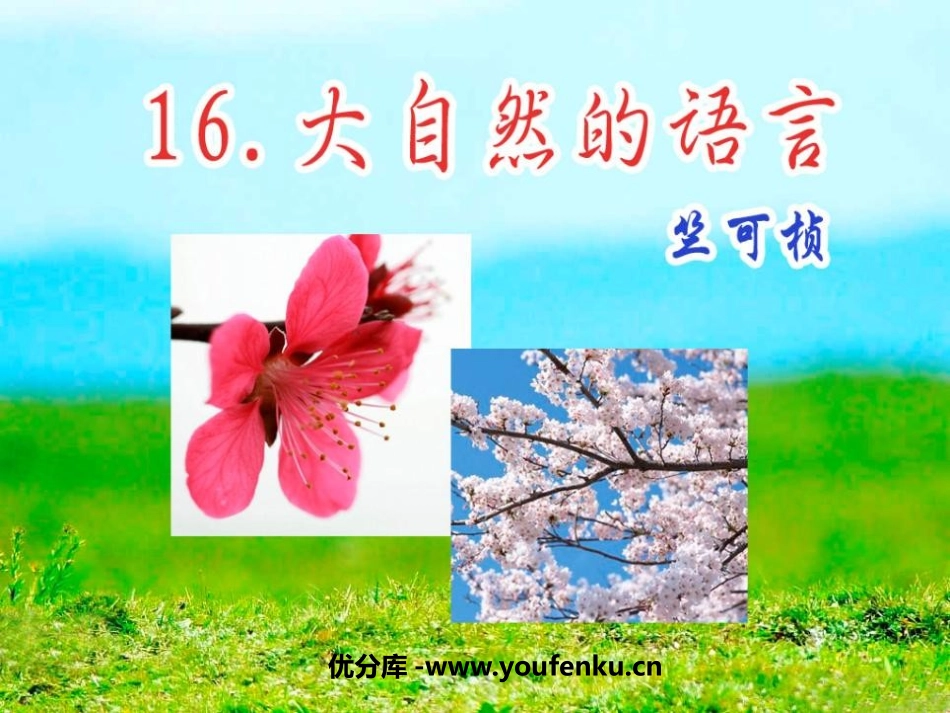 《大自然的语言》PPT课件[鲁教版七年级语文下册]_第1页