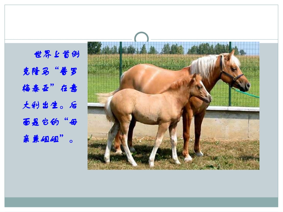 《奇妙的克隆》PPT课件[鲁教版七年级语文下册]_第2页