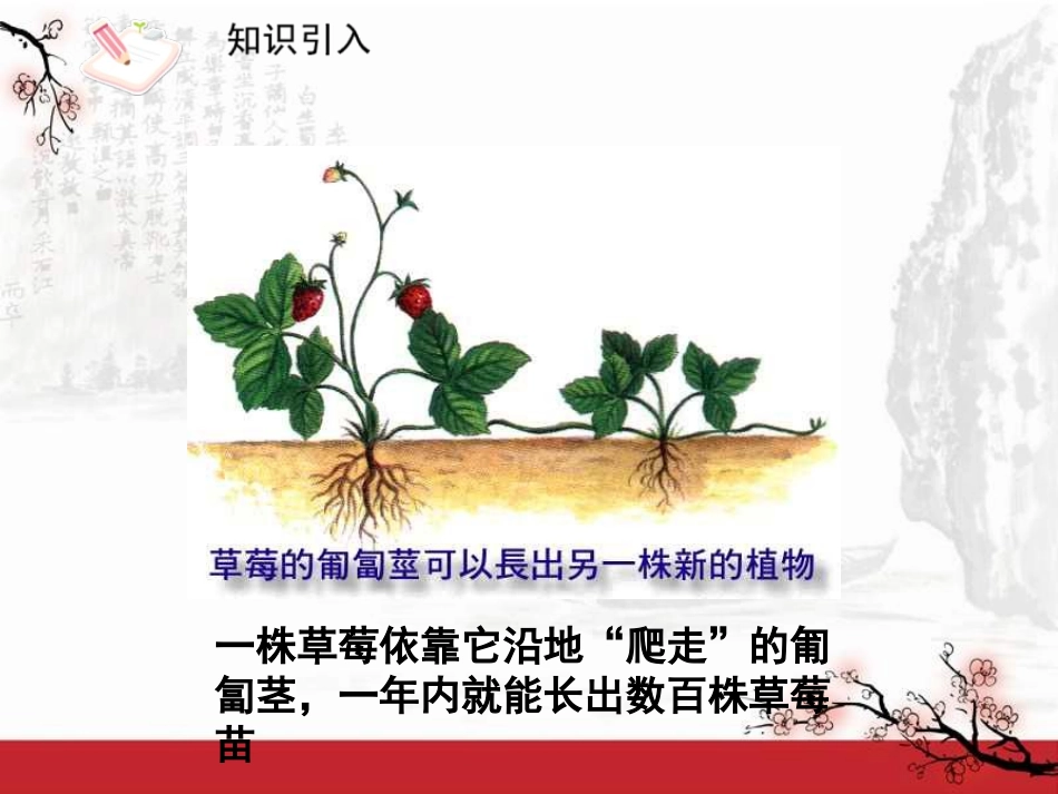 《奇妙的克隆》PPT课件[鲁教版七年级语文下册]_第2页