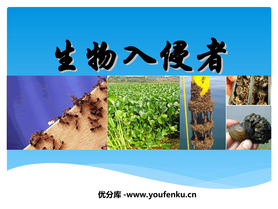 《生物入侵者》PPT课件[鲁教版七年级语文下册]_第1页