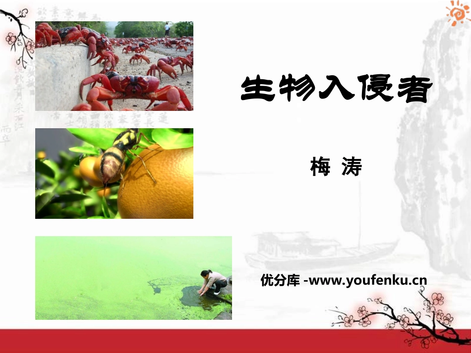 《生物入侵者》PPT课件[鲁教版七年级语文下册]_第1页
