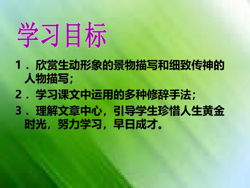 《三颗枸杞豆》PPT课件[鲁教版八年级语文下册]_第2页