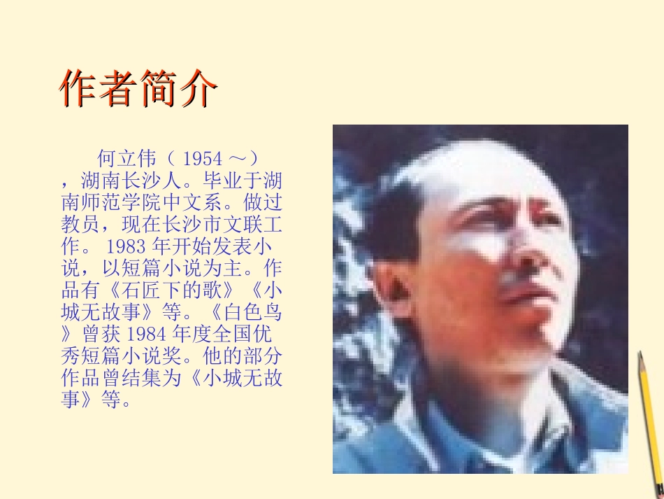 《白色鸟》PPT课件[鲁教版八年级语文下册]_第2页