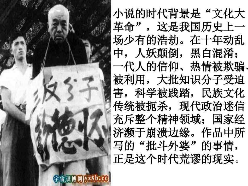 《白色鸟》PPT课件[鲁教版八年级语文下册]_第3页