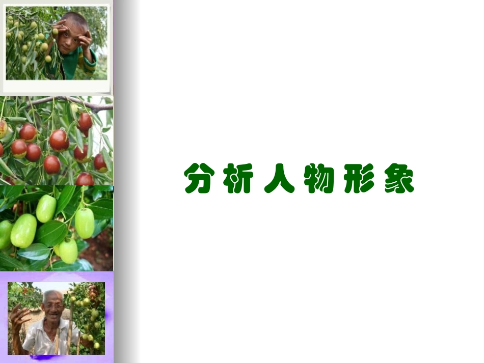 《枣儿》PPT课件[鲁教版九年级语文下册]_第1页