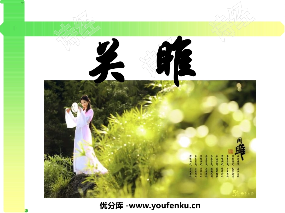 《关雎》PPT课件[鲁教版九年级语文下册]_第1页