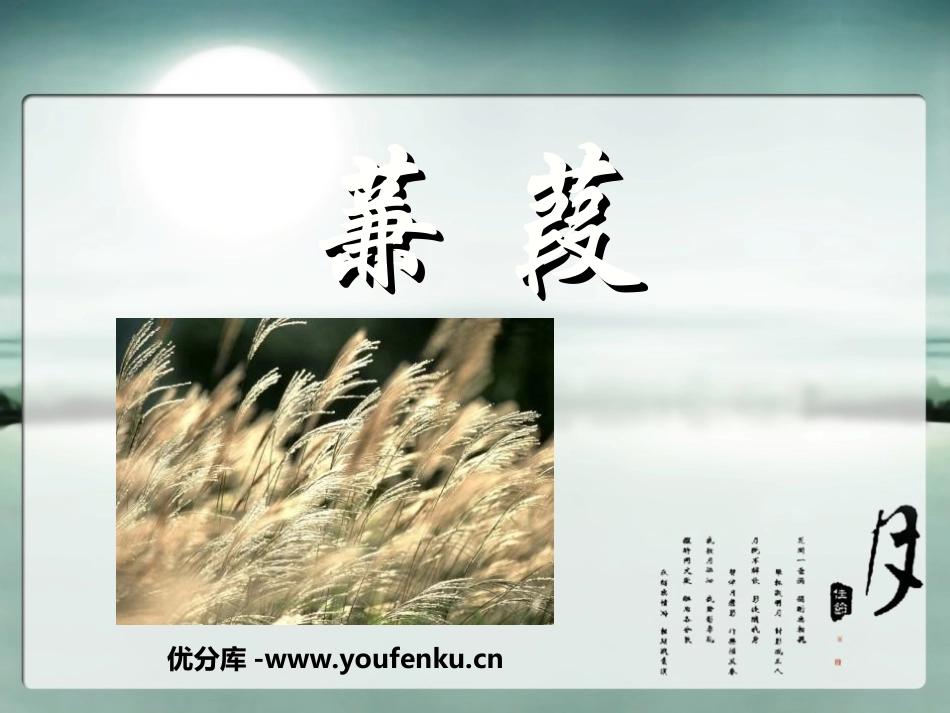 《蒹葭》PPT课件[鲁教版九年级语文下册]_第1页