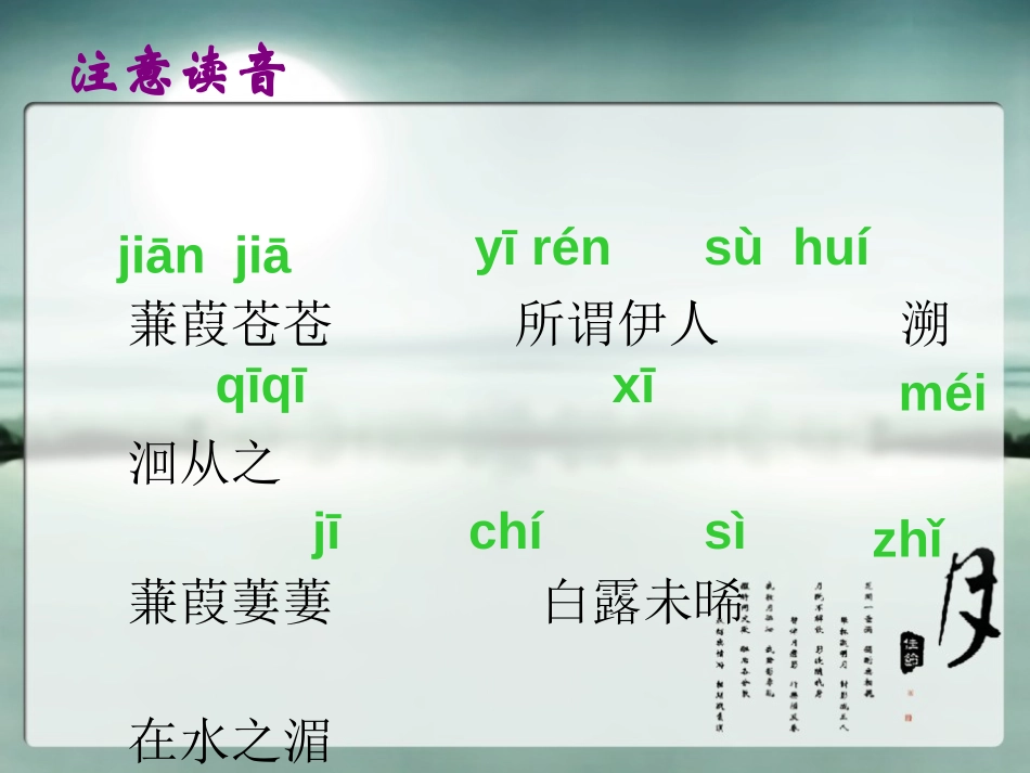 《蒹葭》PPT课件[鲁教版九年级语文下册]_第3页