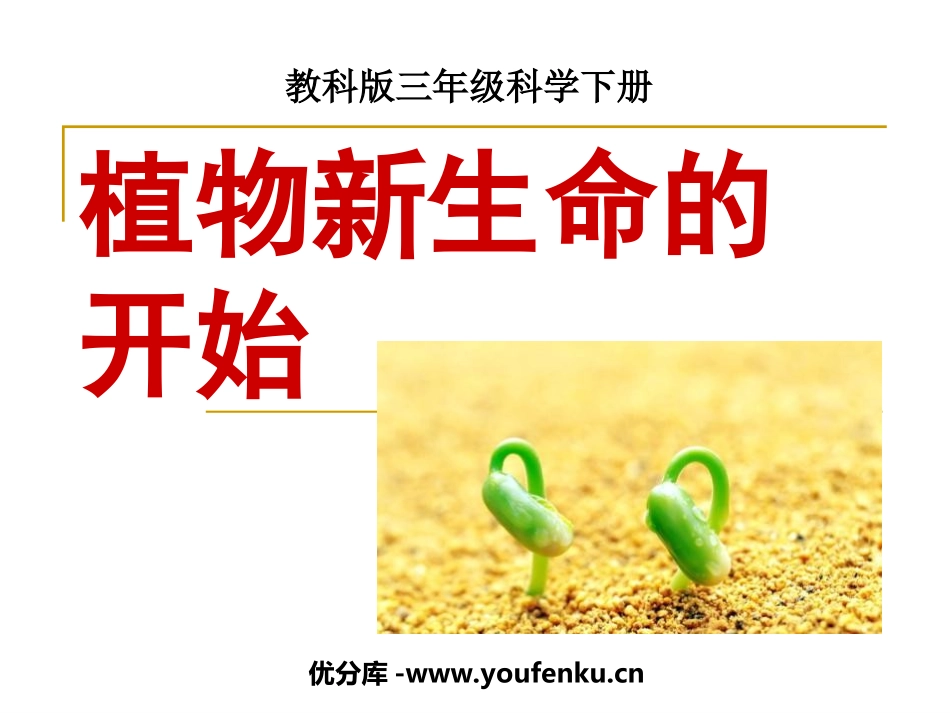 《植物新生命的开始》植物的生长变化PPT课件[教科版三年级科学]_第1页