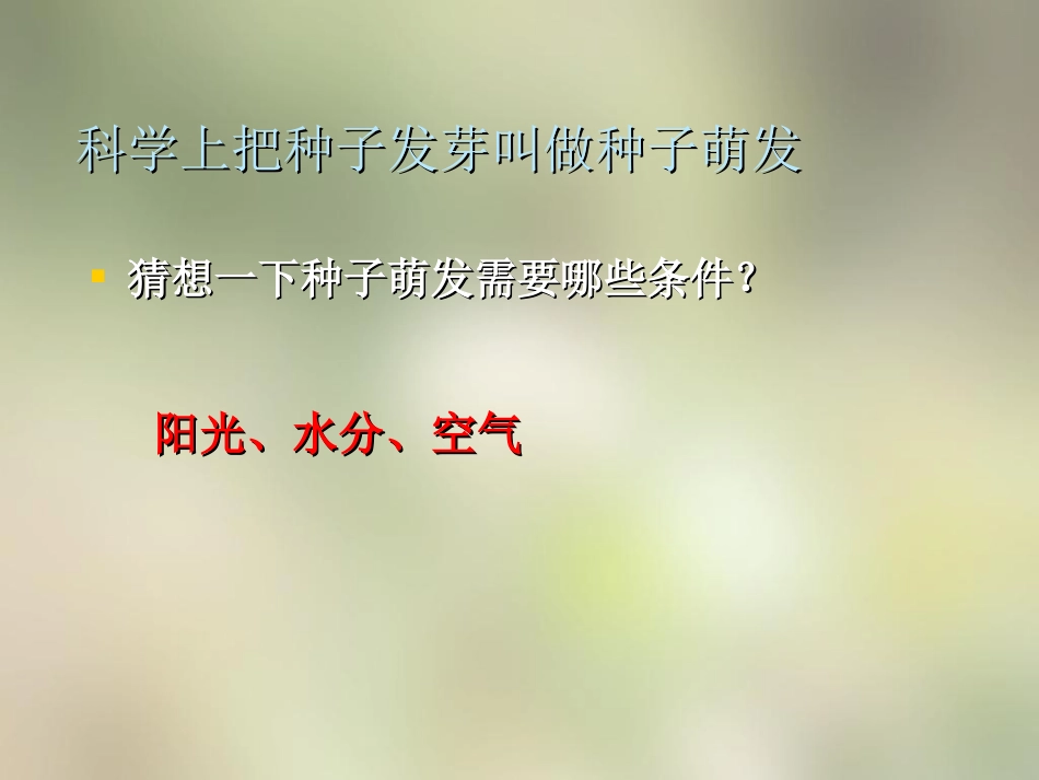 《种植我们的植物》植物的生长变化PPT课件[教科版三年级科学]_第3页