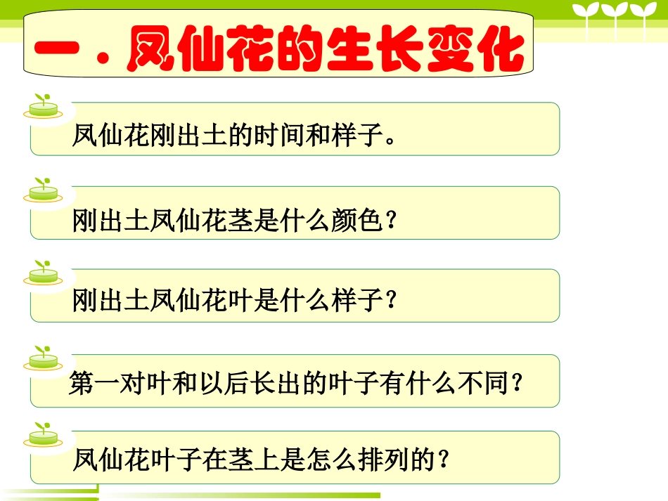 《种子变成了幼苗》植物的生长变化PPT课件[教科版三年级科学]_第3页