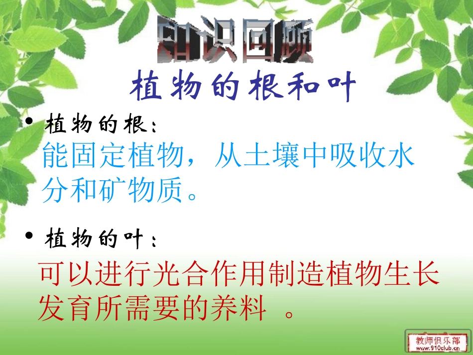《茎越长越高》植物的生长变化PPT课件[教科版三年级科学]_第2页