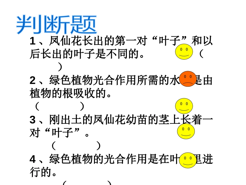 《茎越长越高》植物的生长变化PPT课件[教科版三年级科学]_第3页