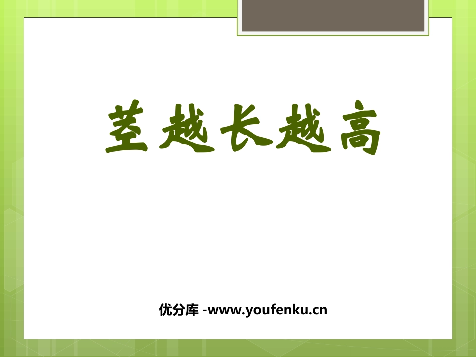 《茎越长越高》植物的生长变化PPT课件[教科版三年级科学]_第1页