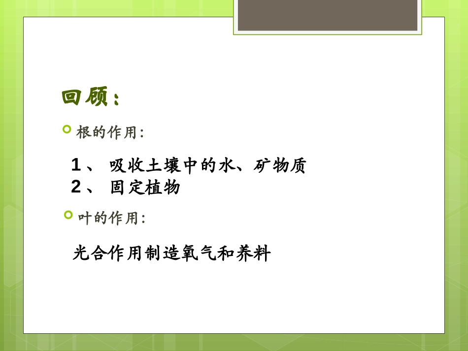 《茎越长越高》植物的生长变化PPT课件[教科版三年级科学]_第2页