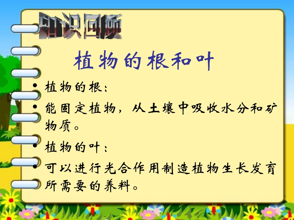 《茎越长越高》植物的生长变化PPT课件[教科版三年级科学]_第2页