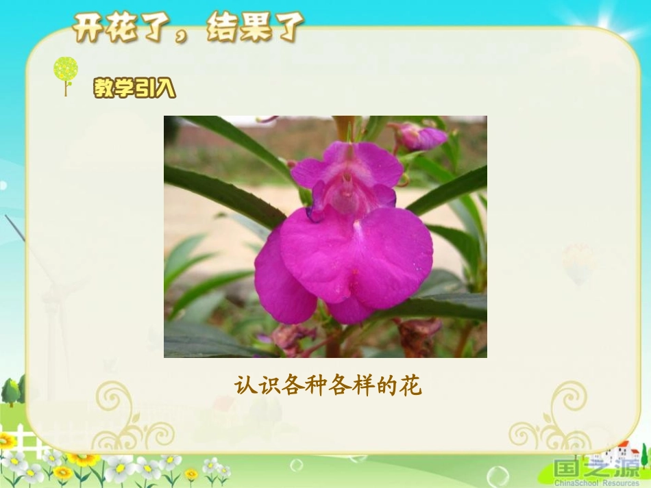 《开花了,结果了》植物的生长变化PPT课件[教科版三年级科学]_第1页