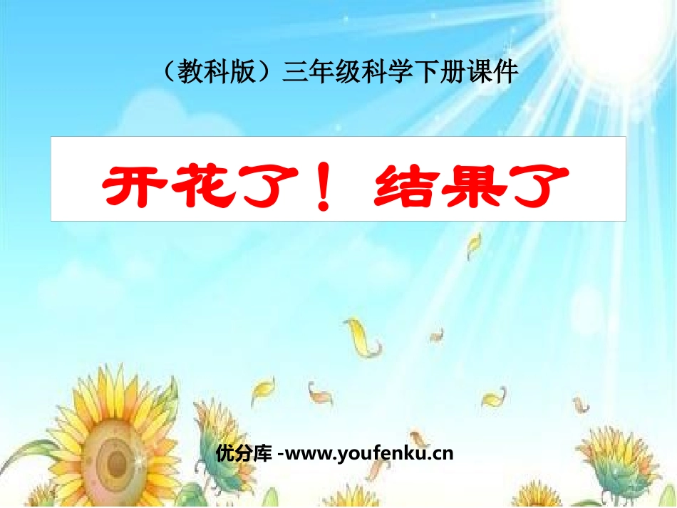 《开花了,结果了》植物的生长变化PPT课件[教科版三年级科学]_第1页