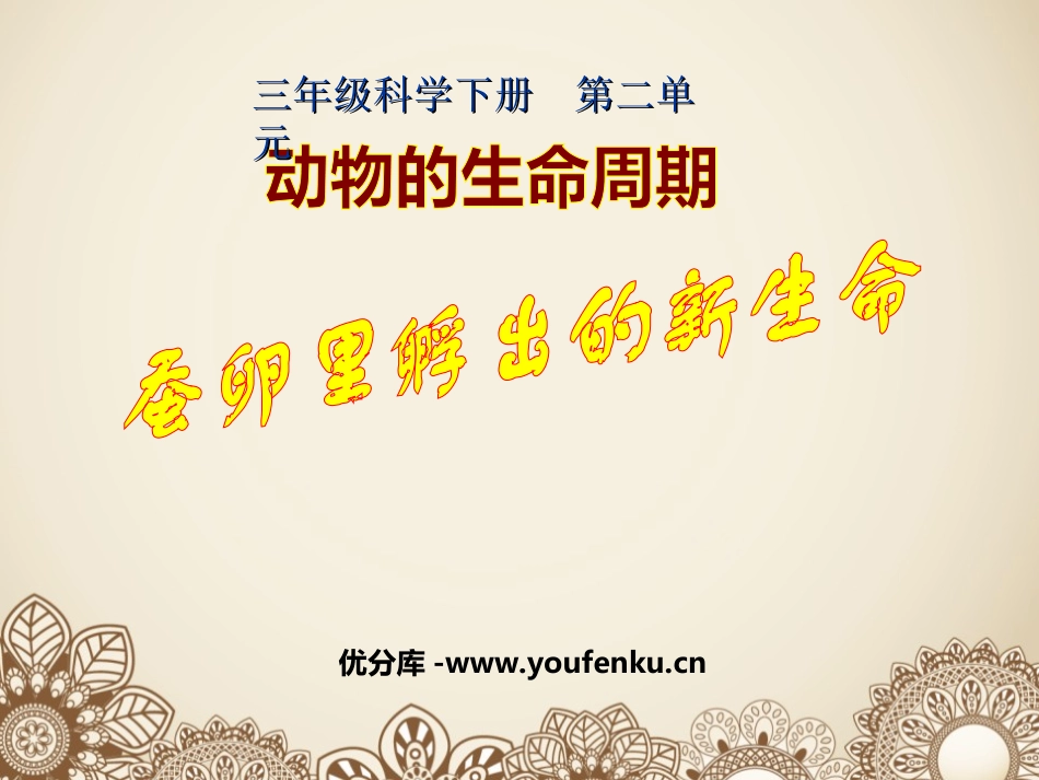 《蚕卵里孵出的新生命》动物的生命周期PPT课件[教科版三年级科学]_第1页