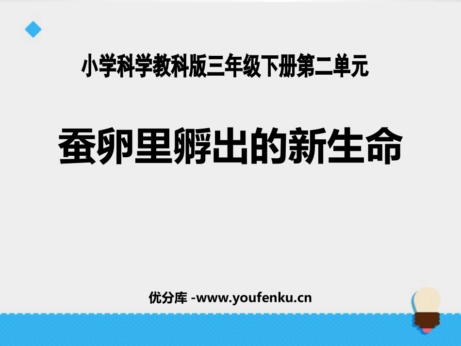 《蚕卵里孵出的新生命》动物的生命周期PPT课件[教科版三年级科学]_第1页