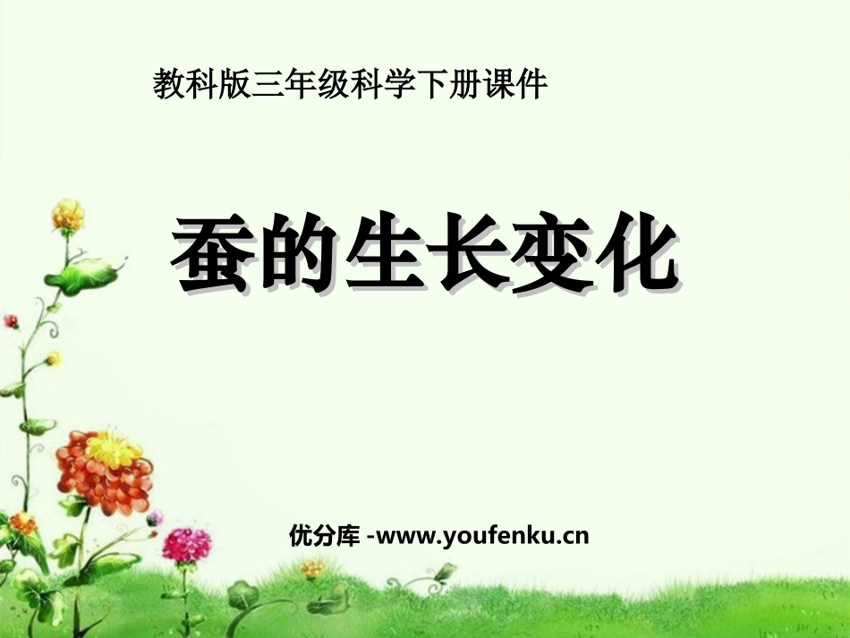 《蚕的生长变化》动物的生命周期PPT课件[教科版三年级科学]_第1页