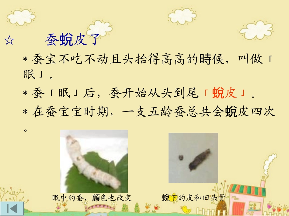 《蚕的生长变化》动物的生命周期PPT课件[教科版三年级科学]_第2页