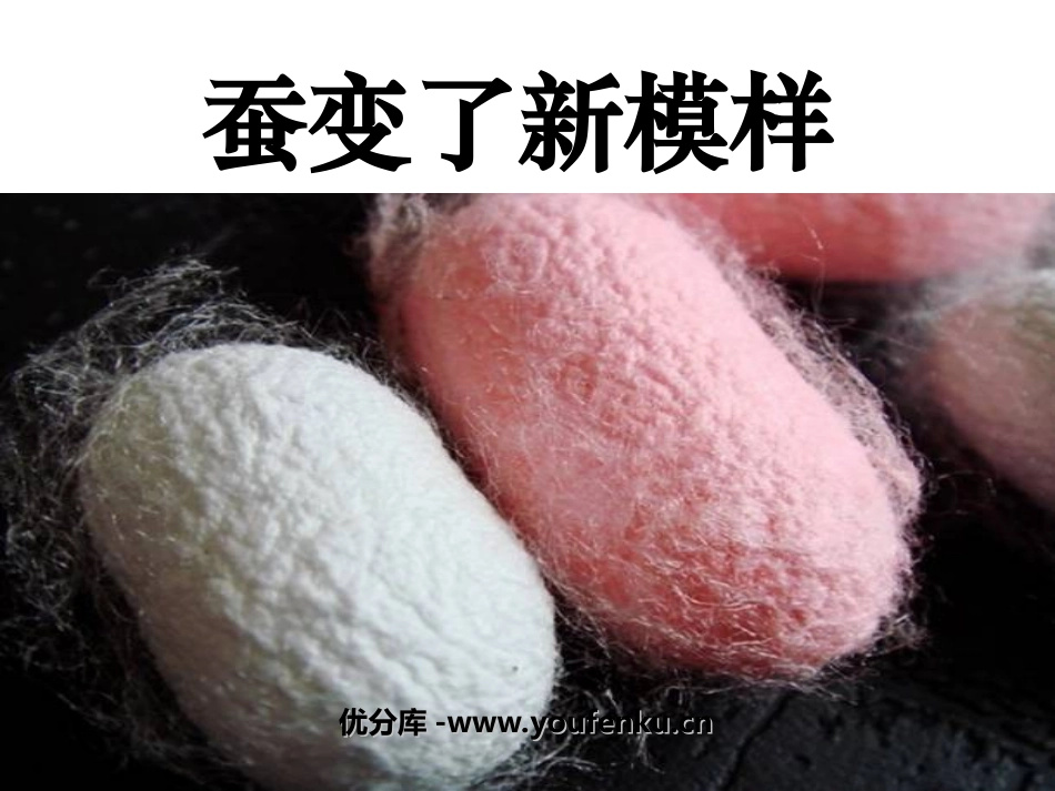 《蚕变了新模样》动物的生命周期PPT课件[教科版三年级科学]_第1页