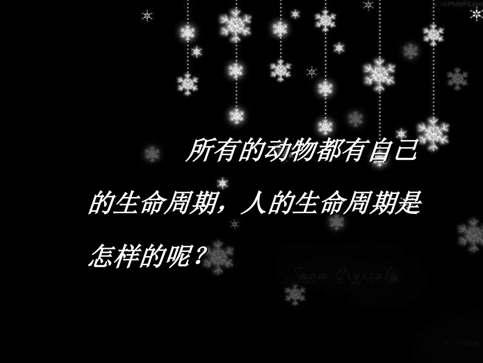 《我们的生命周期》动物的生命周期PPT课件[教科版三年级科学]_第2页