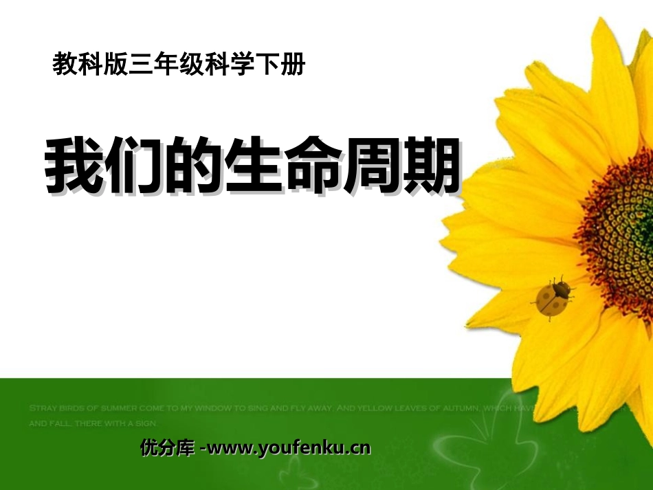 《我们的生命周期》动物的生命周期PPT课件[教科版三年级科学]_第1页