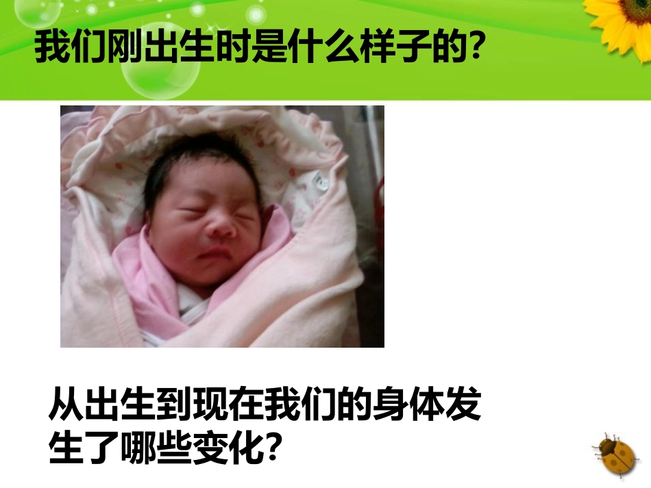 《我们的生命周期》动物的生命周期PPT课件[教科版三年级科学]_第3页
