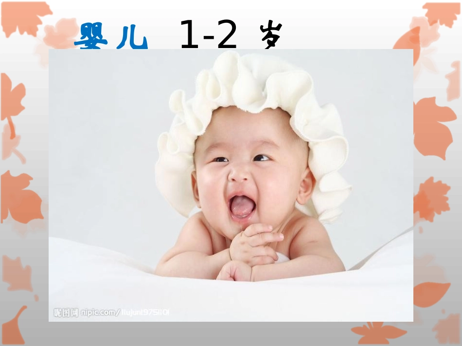 《我们的生命周期》动物的生命周期PPT课件[教科版三年级科学]_第3页