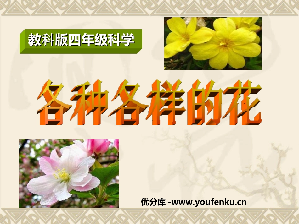 《各种各样的花》新的生命PPT课件[教科版四年级科学下册]_第1页