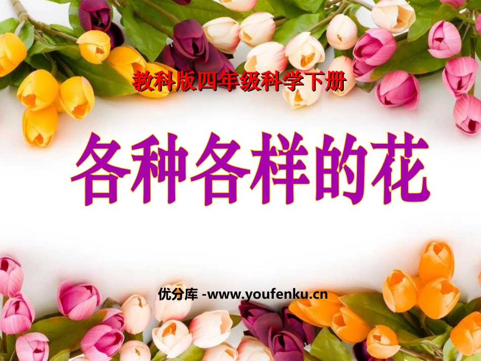 《各种各样的花》新的生命PPT课件[教科版四年级科学下册]_第1页