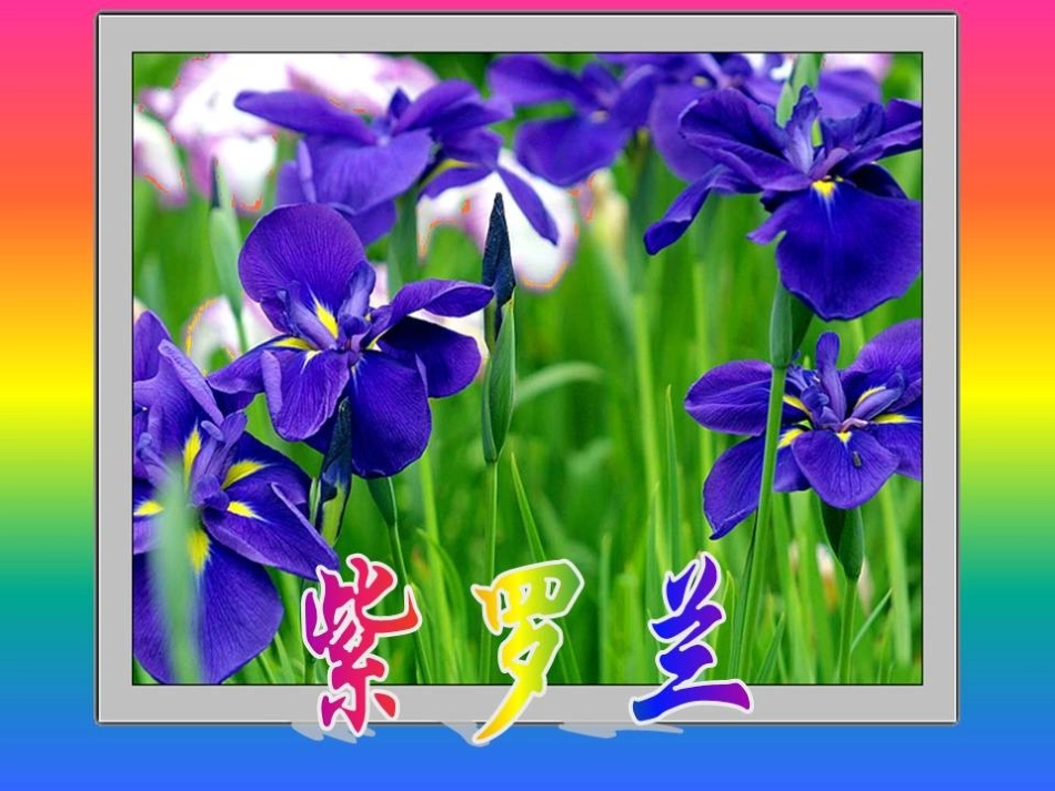 《各种各样的花》新的生命PPT课件[教科版四年级科学下册]_第2页