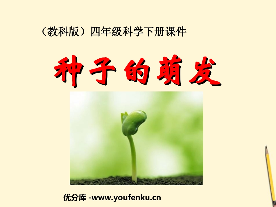 《种子的萌发》新的生命PPT课件[教科版四年级科学下册]_第1页