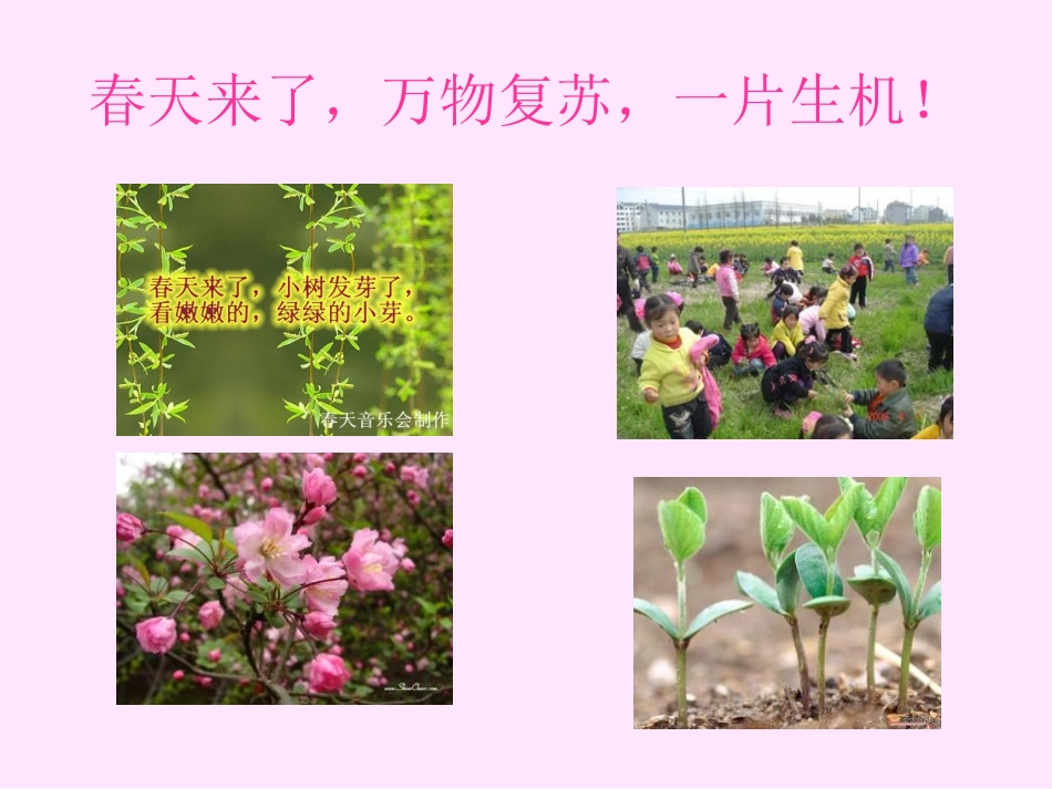 《种子的萌发》新的生命PPT课件[教科版四年级科学下册]_第1页