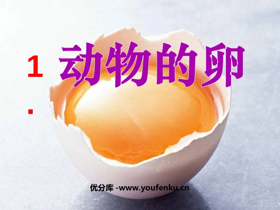 《动物的卵》新的生命PPT课件[教科版四年级科学下册]_第1页