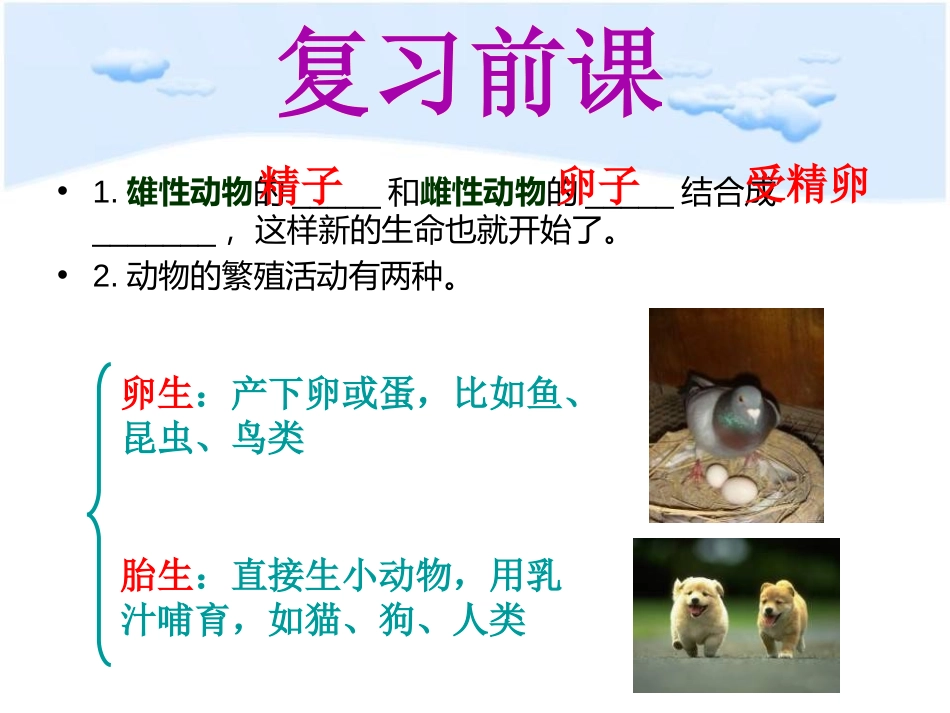 《动物的卵》新的生命PPT课件[教科版四年级科学下册]_第2页