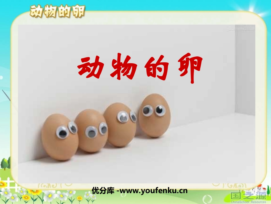《动物的卵》新的生命PPT课件[教科版四年级科学下册]_第1页