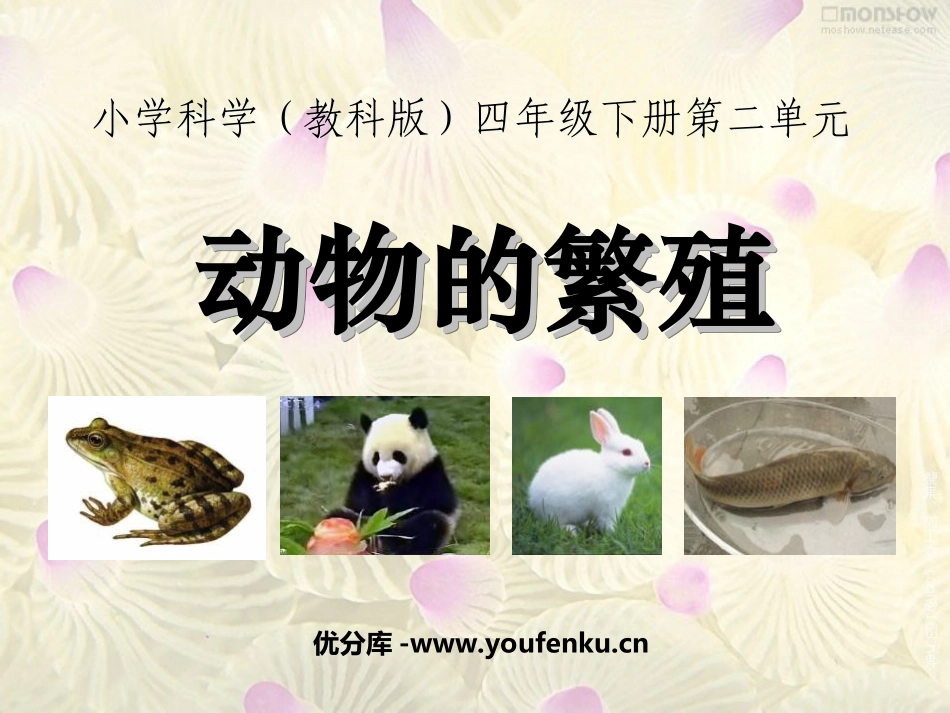 《动物的繁殖》新的生命PPT课件[教科版四年级科学下册]_第1页