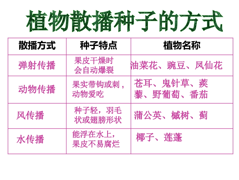 《动物的繁殖》新的生命PPT课件[教科版四年级科学下册]_第3页