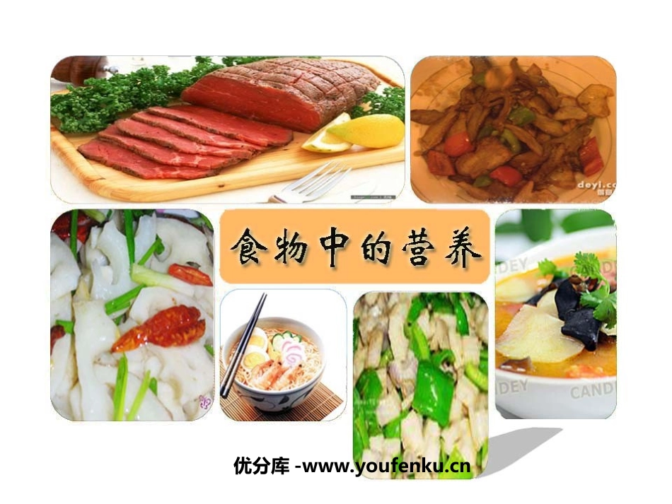 《食物的营养》食物PPT课件[教科版四年级科学下册]_第1页